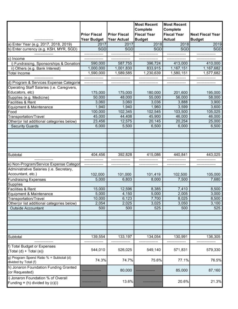 Financial Summary Worksheet Example – Jonaron Charities Foundation